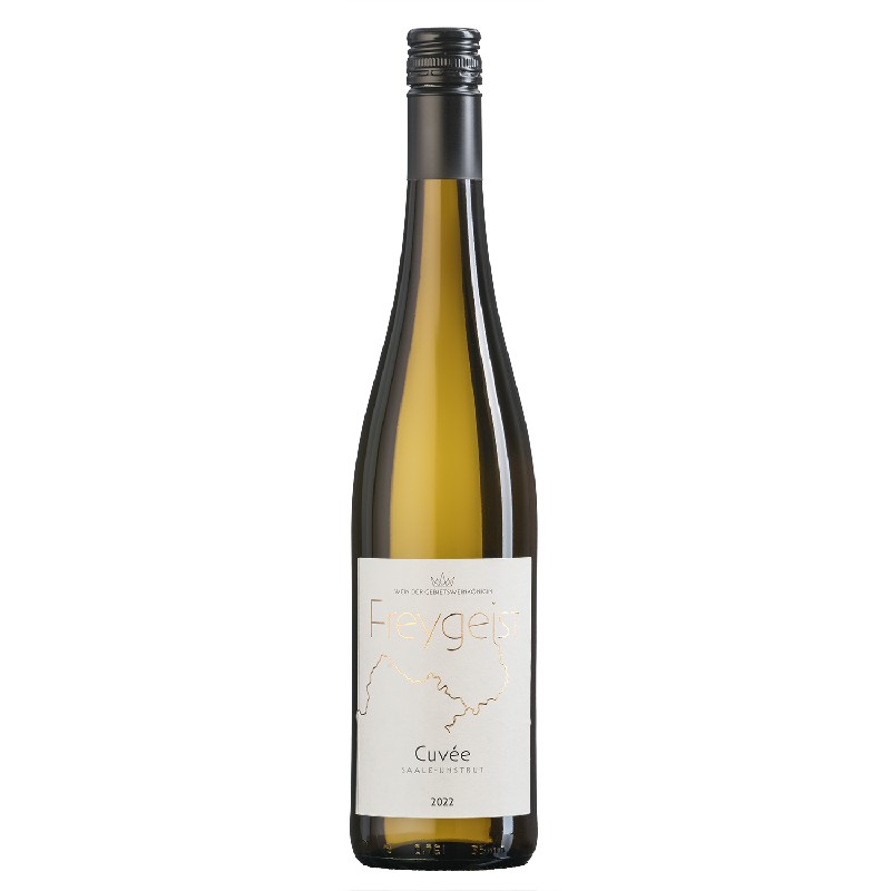 Freygeist trocken 2022 Deutscher Qualitätswein 0,75l
