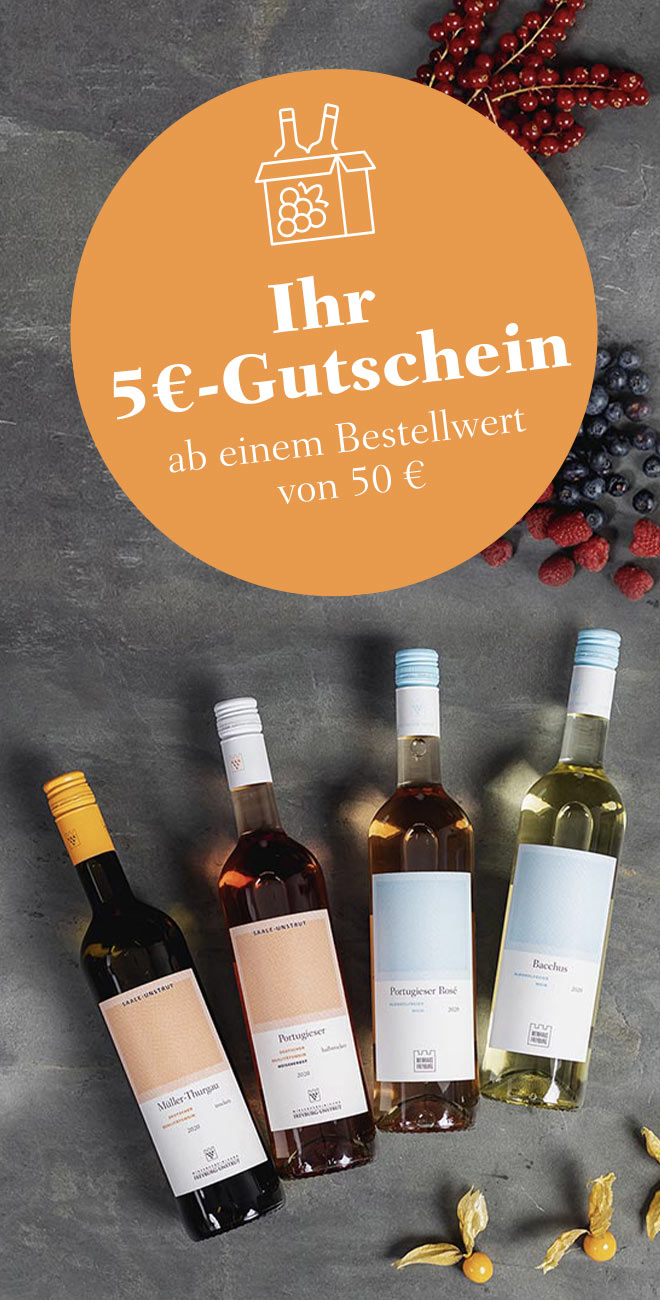Winzer_Newsletter_links-2